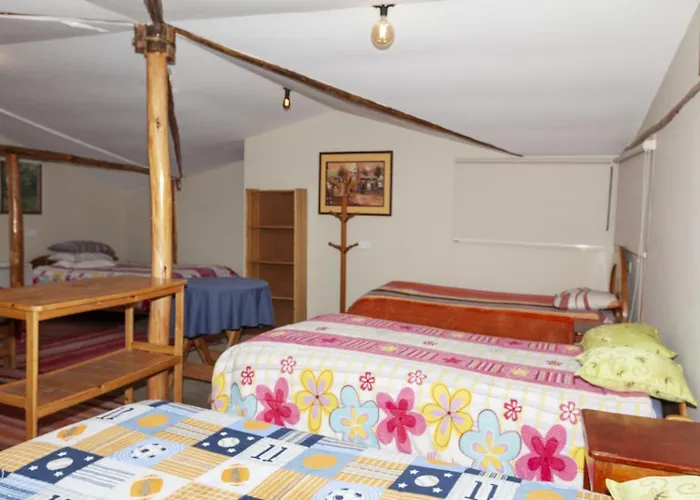 Caisae Eco- *